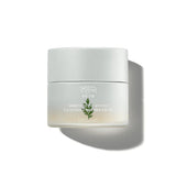 Artemisia Calming Moisture Cream 50ml - 2