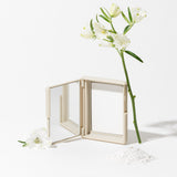 Moringa Ceramide Pressed Setting Powder 5g - 5