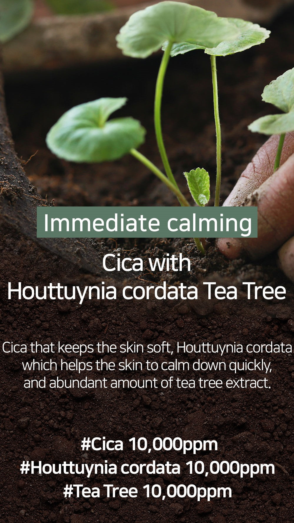 CICA Houttuynia Tea Tree Calming Mask 30ea/400g - 10