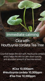 CICA Houttuynia Tea Tree Calming Mask 30ea/400g - 10