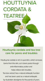 Houttuynia Cordata +Tea Tree Serum - 30ml - 10