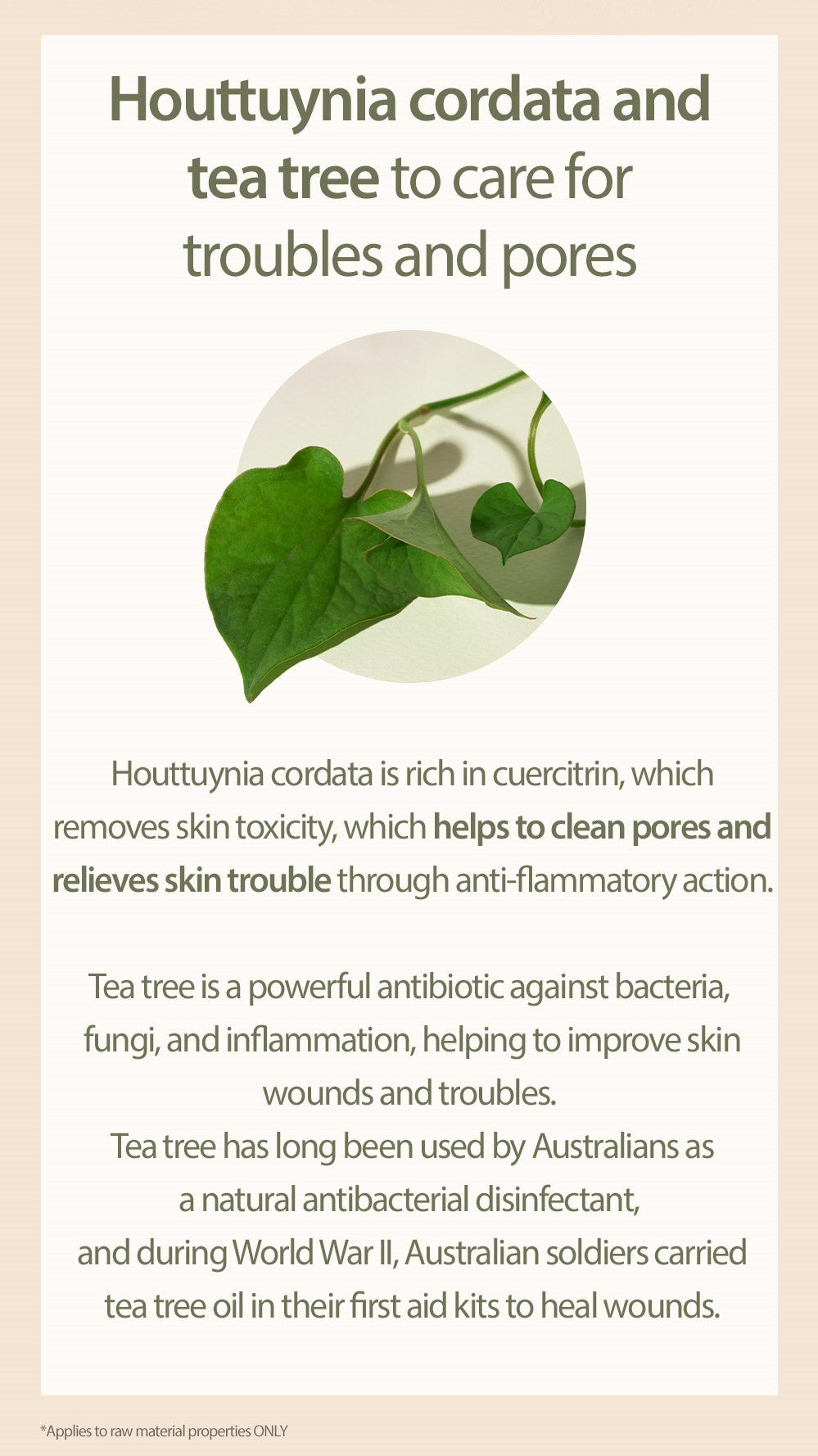 [Mary&May] 1+1 Houttuynia Cordata + Tea Tree Cleansing Foam - 150ml