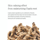 Moisture Cream 100ml - 8