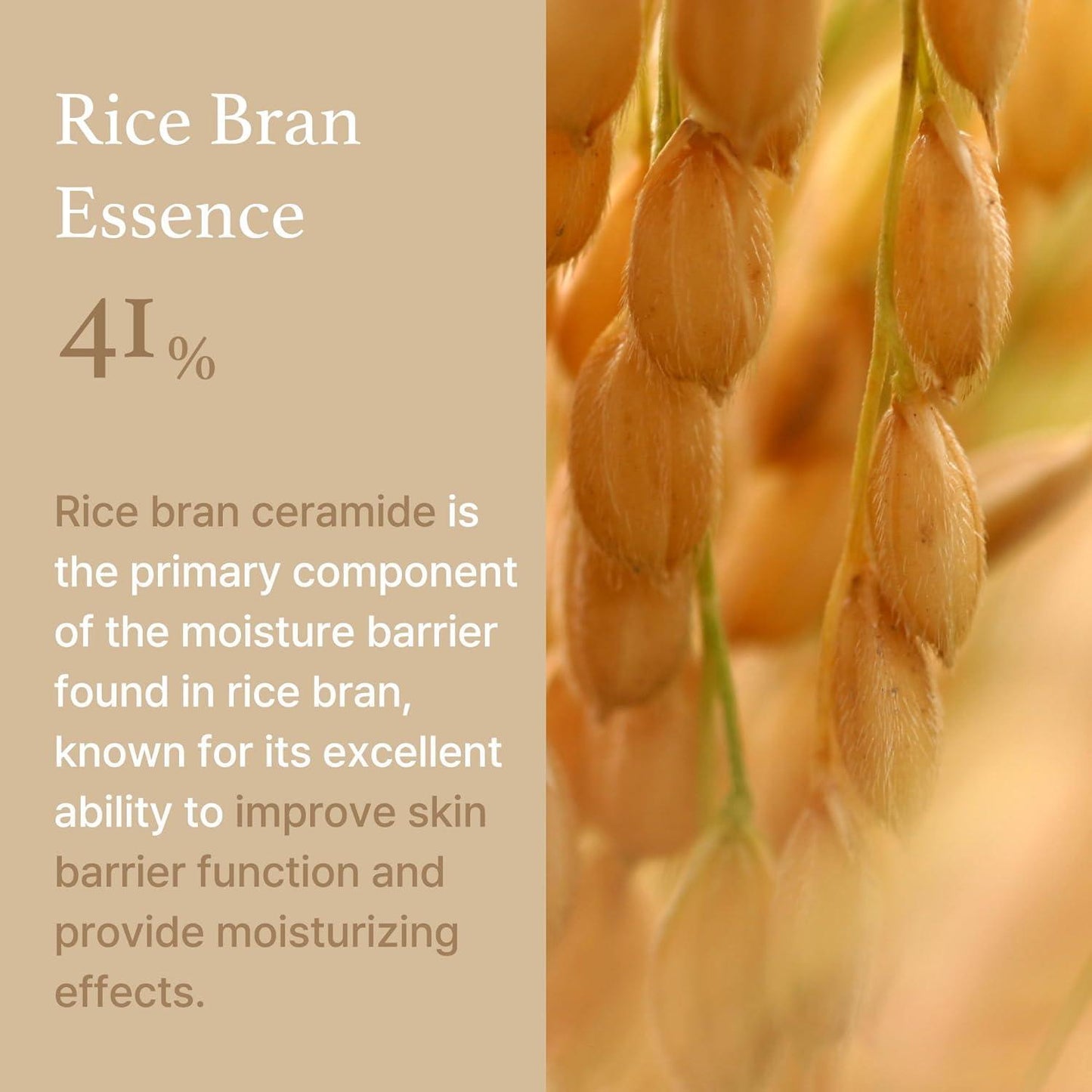 Rice Cream 50g - 9