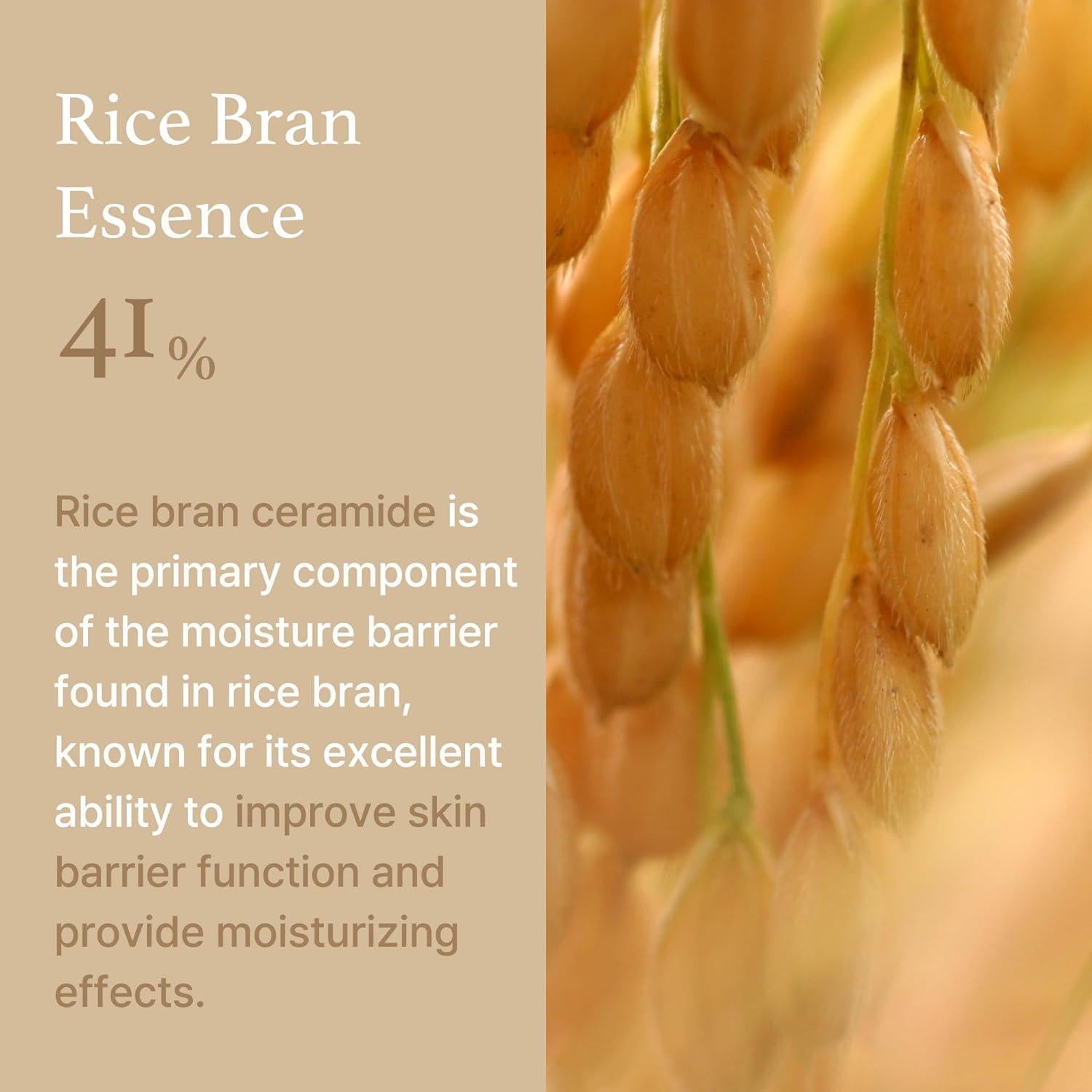 Rice Cream 50g - 9