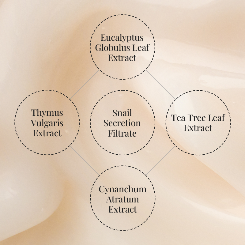 [Coeur] Ghost Repair Cream 50ml