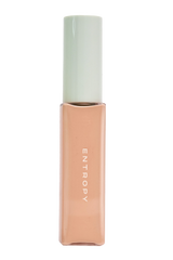 [ENTROPY] ORGANZA FIT SPATULA FOUNDATION #25.3