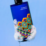 [PyunkangYul] Shampoo Dancheong 350ml