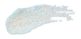 [Unleashia] Get Loose Glitter Gel Mini 4g - 7 Colors